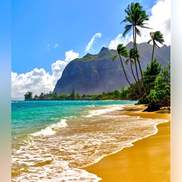 Unlisted inventory - Picture 1 of 1